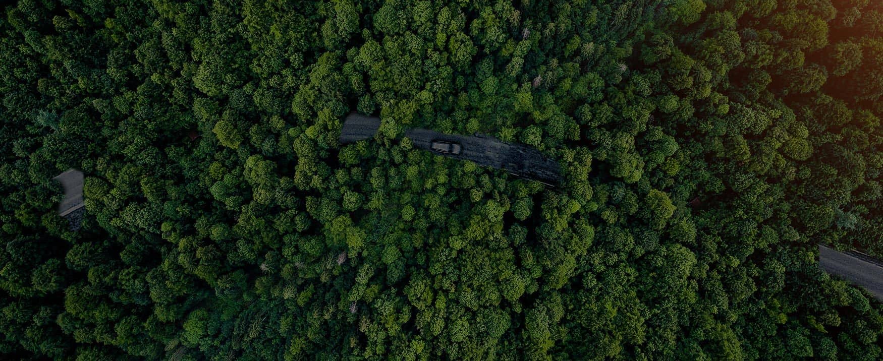 威客电竞·(中国)VKGAME官网入口